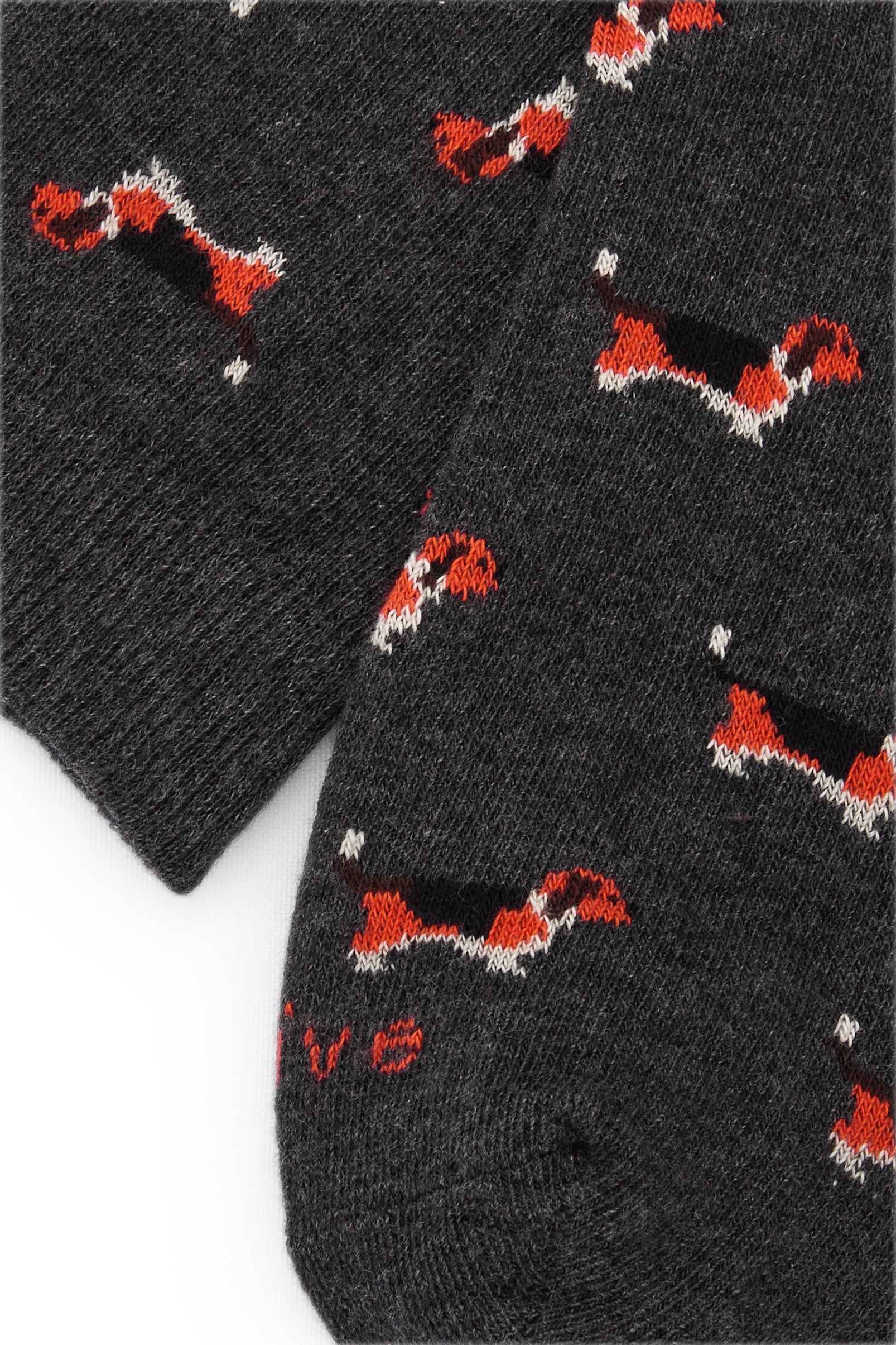 BEAGLE GRIS