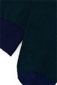 ESPIGA AZUL-VERDE